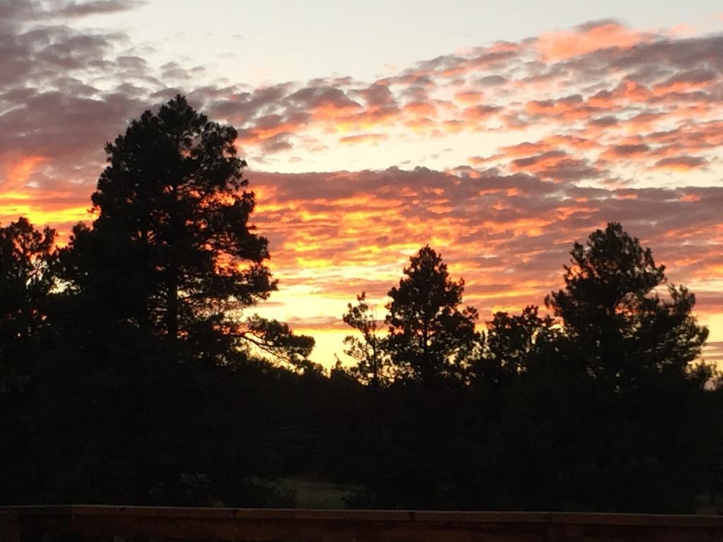 Elkwood Manor Bed & Breakfast Pagosa Springs Esterno foto